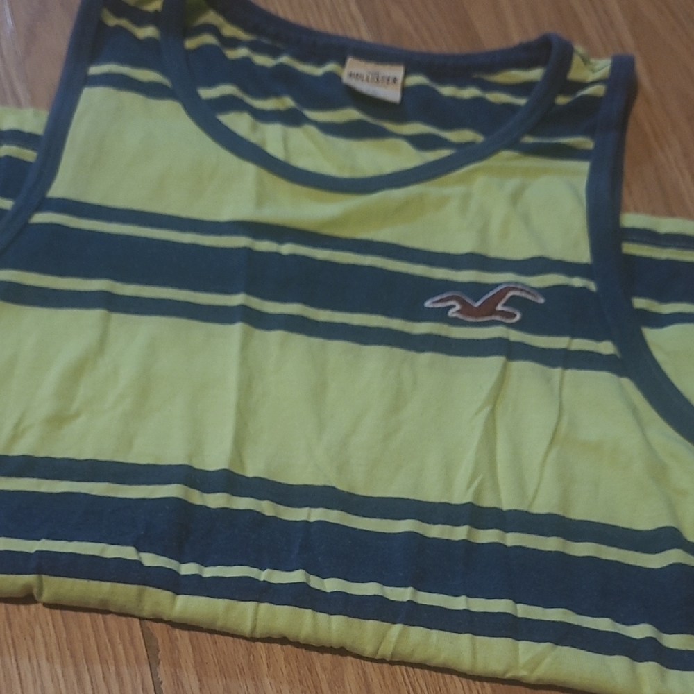 Hollister Blue and Green Striped Tank